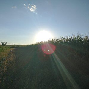 Meet your Posher, Troy n amy